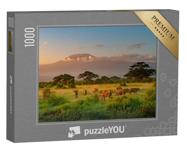 Puzzle 1000 Teile „Morgenstimmung am Kilimandscharo“