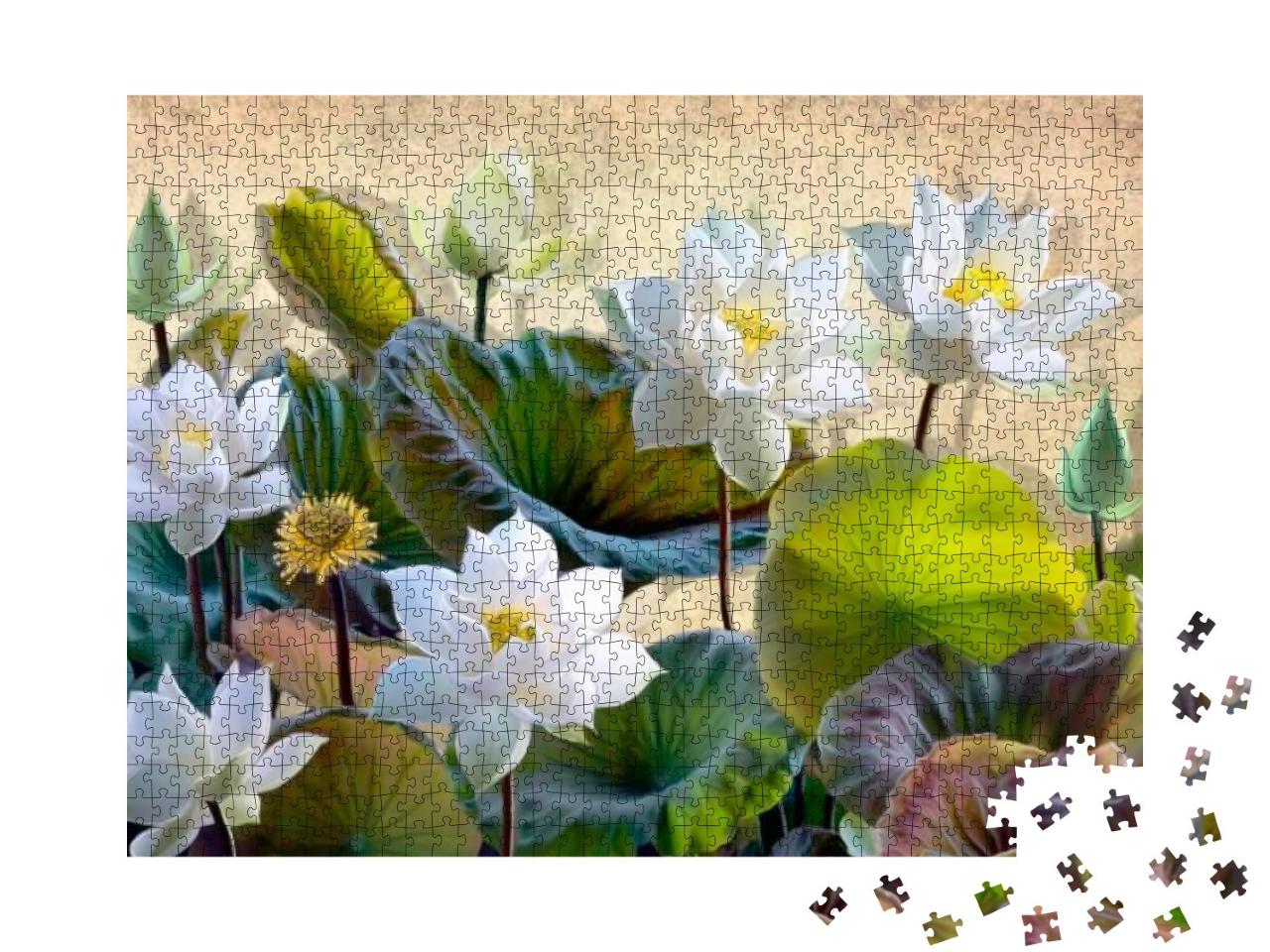 Puzzle 1000 Teile „Blühende weiße Lotusblumen“