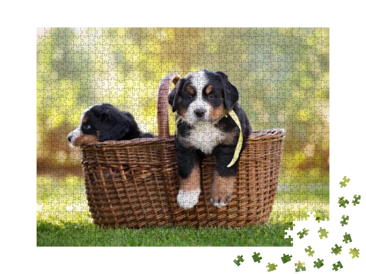 Puzzle 1000 Teile „Berner Sennenhund in einem Korb im Freien“
