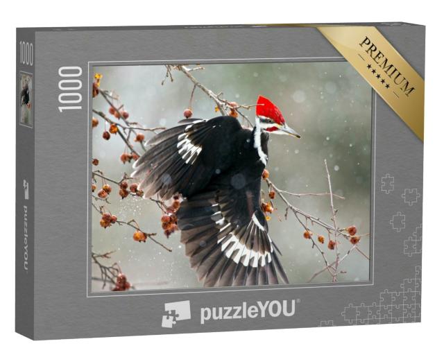 Puzzle 1000 Teile „Der Meisenspecht, ein in Nordamerika beheimateter Specht“