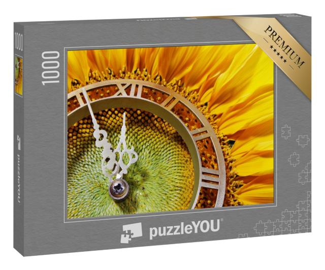 Puzzle 1000 Teile „Nahaufnahme einer Sonnenblumenuhr“