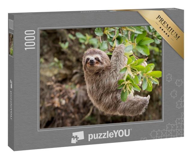 Puzzle 1000 Teile „Dschungelansicht: Faultier“