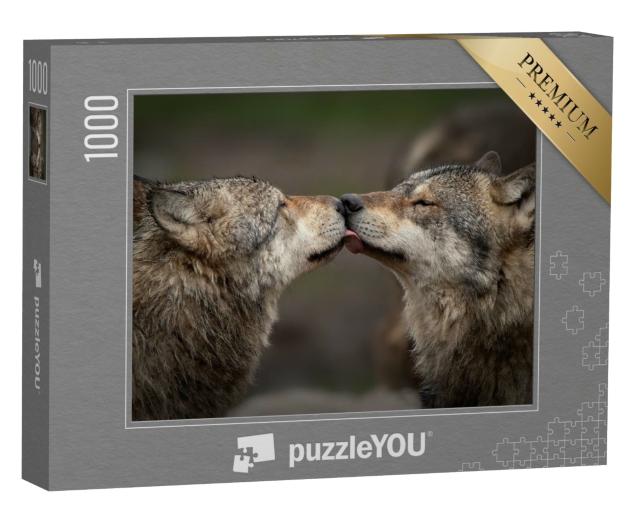 Puzzle 1000 Teile „Vertrauen unter Wölfen“