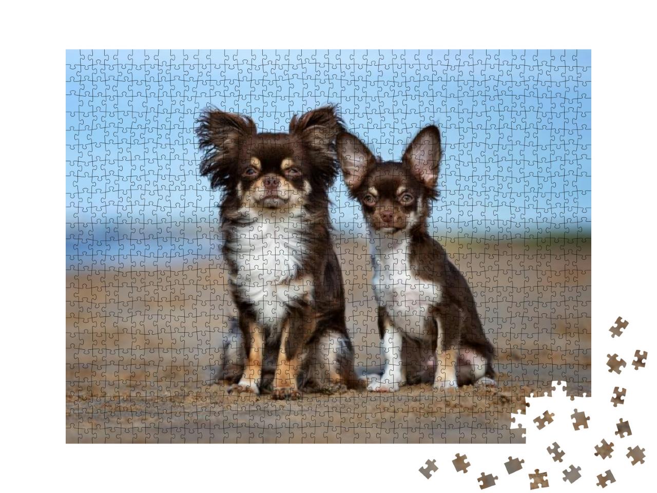 Puzzle 1000 Teile „Chihuahua und Welpe draußen“
