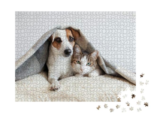 Puzzle 1000 Teile „Hund umarmt eine Katze, Haustiere, Freunde“
