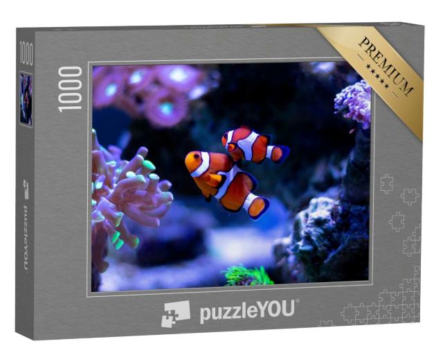 Puzzle 1000 Teile „Clownfisch schwimmt in einem Aquarium“