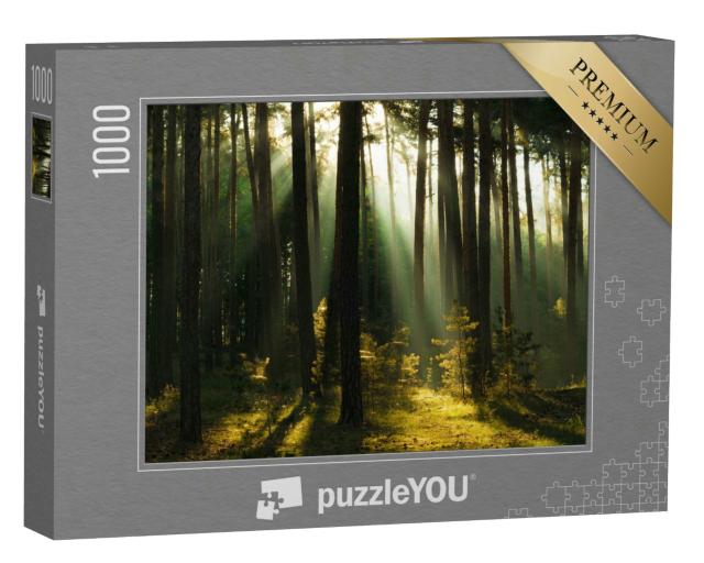 Puzzle 1000 Teile „Sonnenstrahlen im Wald, Harz, Deutschland“