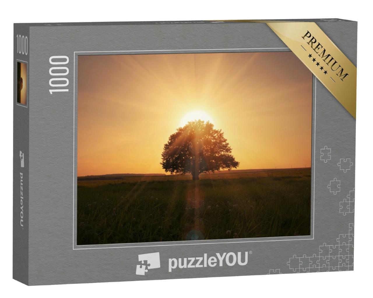 Puzzle 1000 Teile „Sonnenaufgang mit Baum“