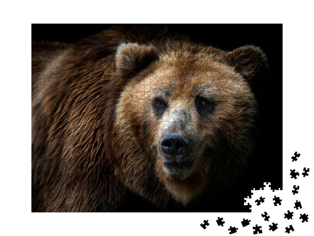 Puzzle 1000 Teile „Ein Kamtschatka-Bär “