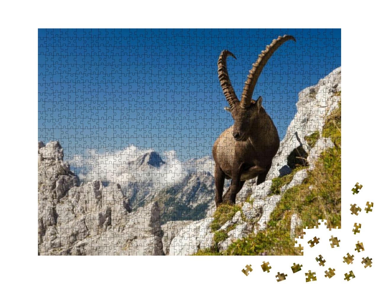 Puzzle 1000 Teile „Der Steinbock, der König der Berge“