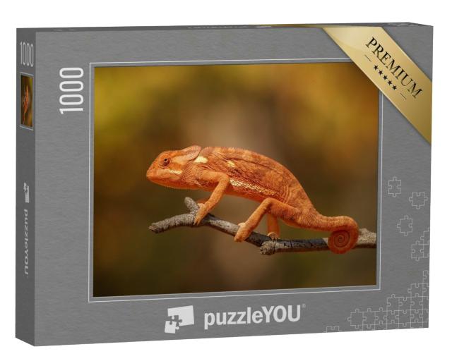Puzzle 1000 Teile „Wildes Chamäleon in Afrika“