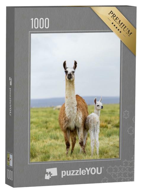 Puzzle 1000 Teile „Lama mit Baby auf dem Altiplano in Bolivien“