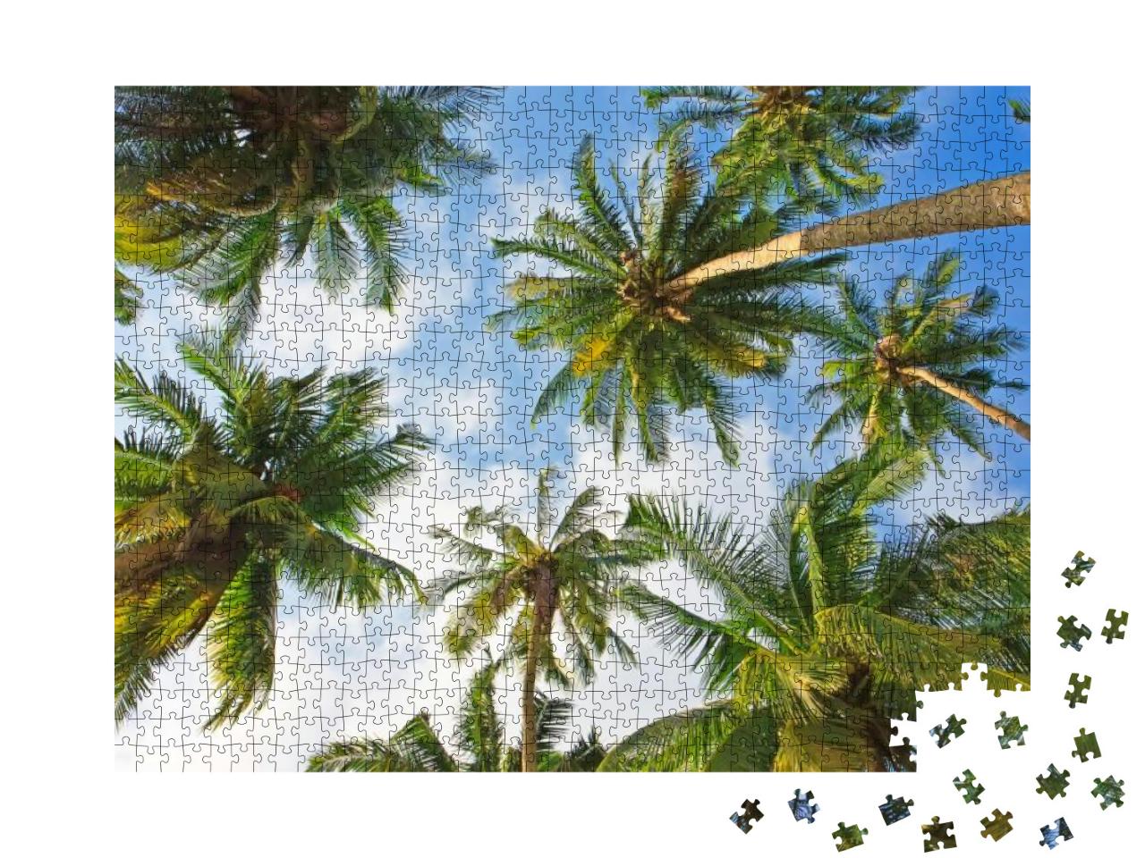 Puzzle 1000 Teile „Wunderschöne Kokosnusspalmen“