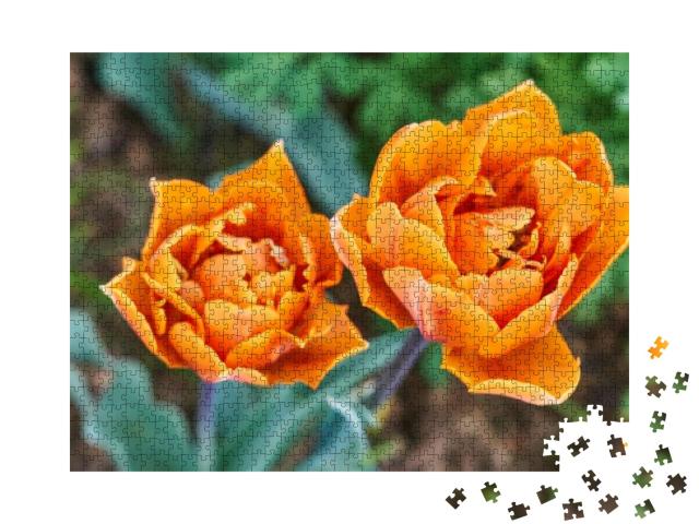Puzzle 1000 Teile „Orangefarbene Tulpen“