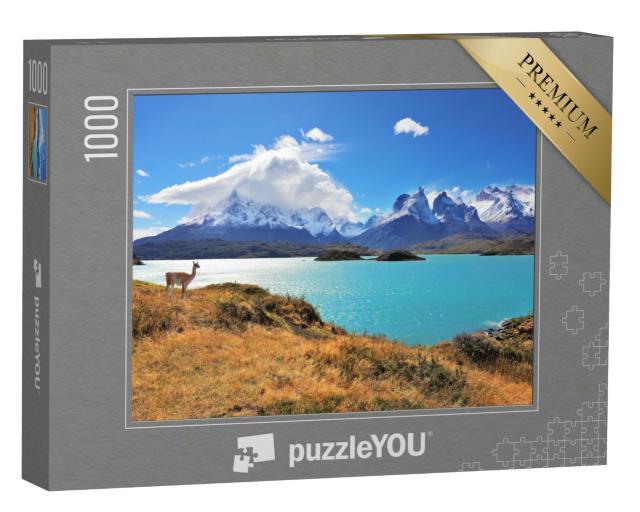 Puzzle 1000 Teile „Wunderschöner Nationalpark Torres del Paine im Süden Chiles“