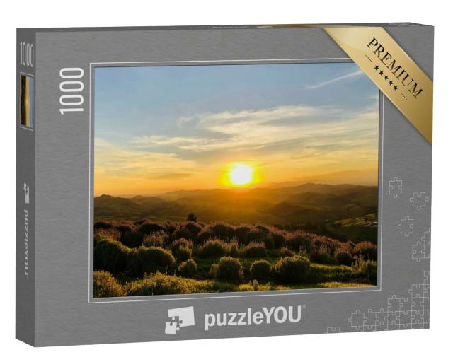 Puzzle 1000 Teile „Sonnenuntergang über hügeligen Lavendelfeldern“