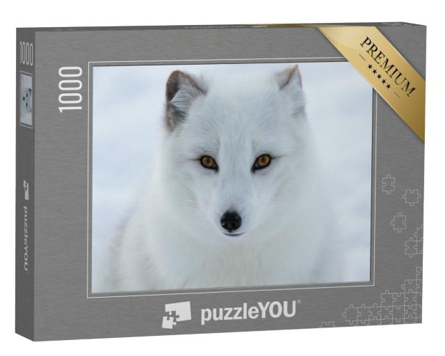 Puzzle 1000 Teile „Portrait eines Polarfuchses“