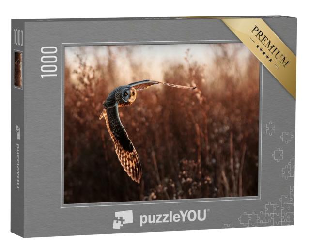 Puzzle 1000 Teile „Sumpfohreule im Flug bei der Jagd“