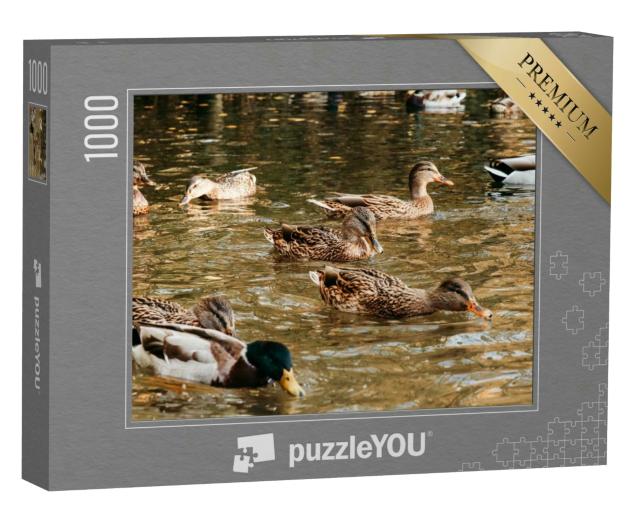 Puzzle 1000 Teile „Ein großer Entenschwarm frisst Brot auf dem See“