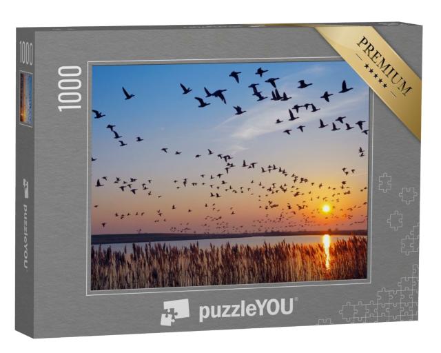 Puzzle 1000 Teile „Gänse über Ostfriesland bei Greetsiel, Deutschland“