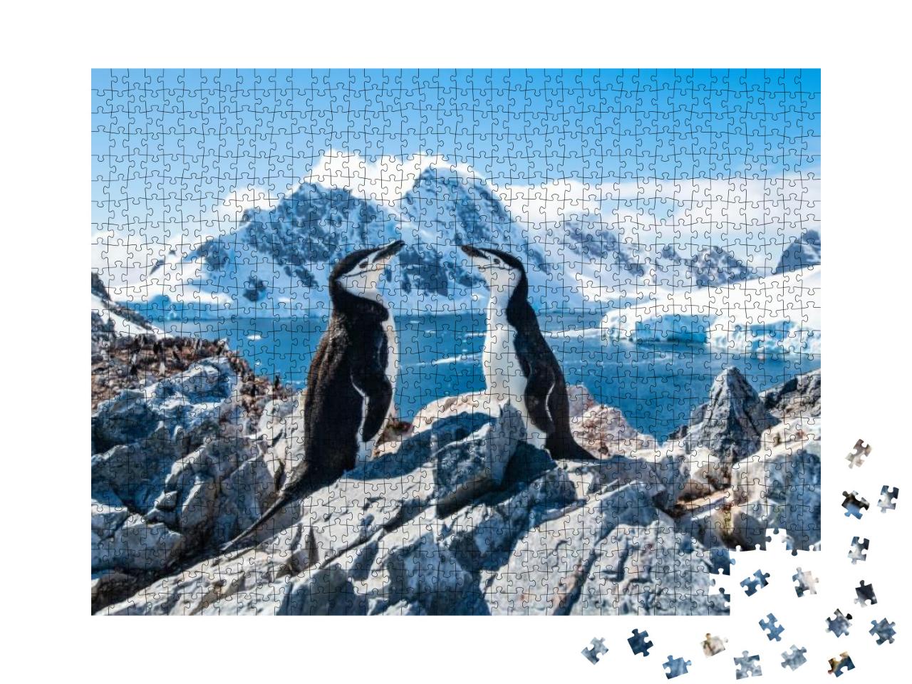 Puzzle 1000 Teile „Zügelpinguin, Antarktis, Januar 2019“