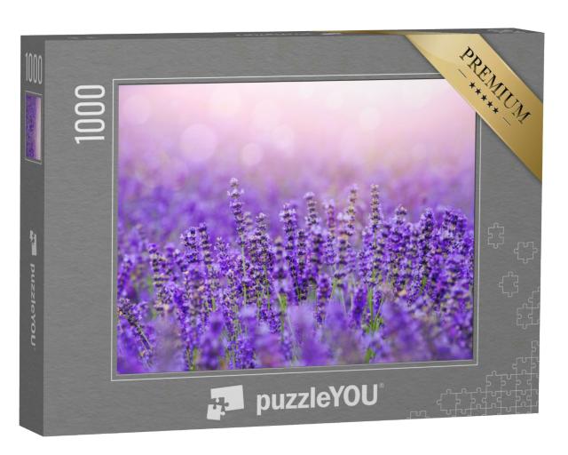 Puzzle 1000 Teile „Sonnenuntergang über einem Lavendelfeld in der Provence“