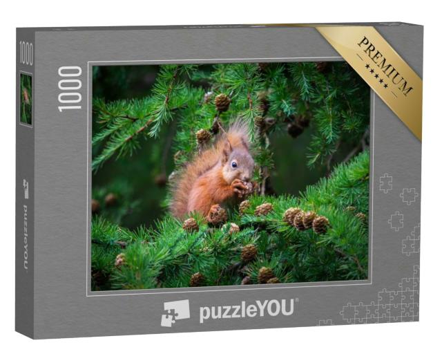 Puzzle 1000 Teile „Das kleine Eichhörnchen im Baum“