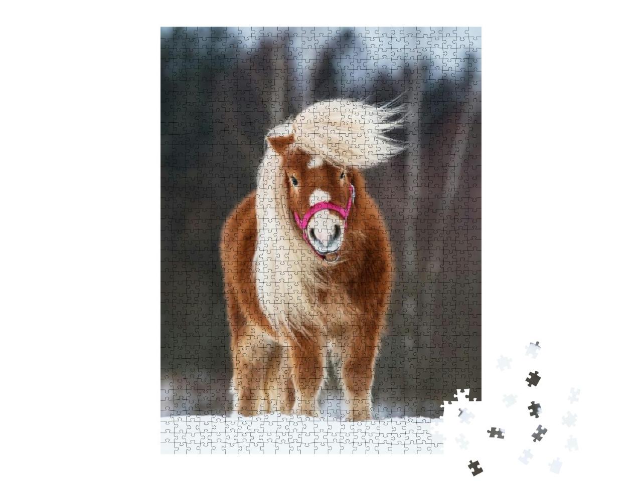Puzzle 1000 Teile „Mini Shetland Ponyhengst mit wunderschöner Mähne“