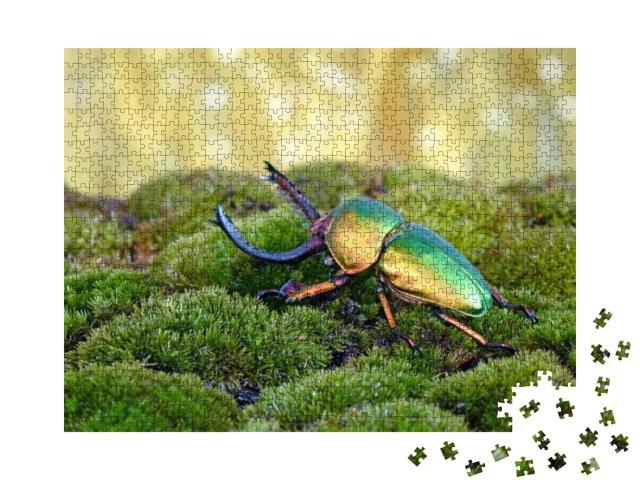 Puzzle 1000 Teile „Sägezahnkäfer oder Hirschkäfer, einer der schönsten Käfer der Welt“