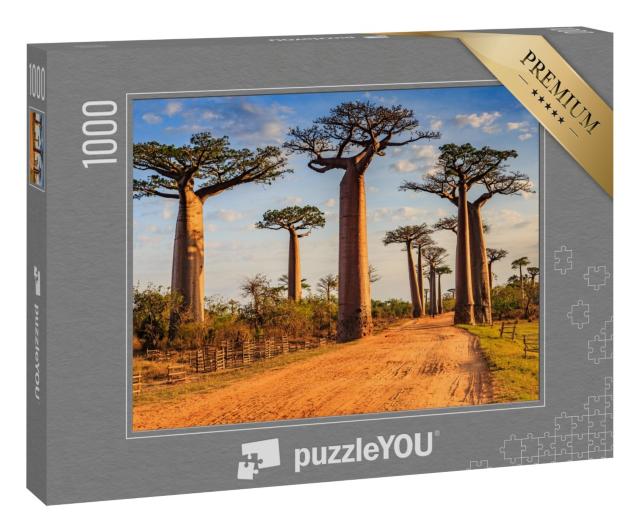 Puzzle 1000 Teile „Einzigartige Baobab-Bäume in der Allee der Baobabs, Madagaskar“