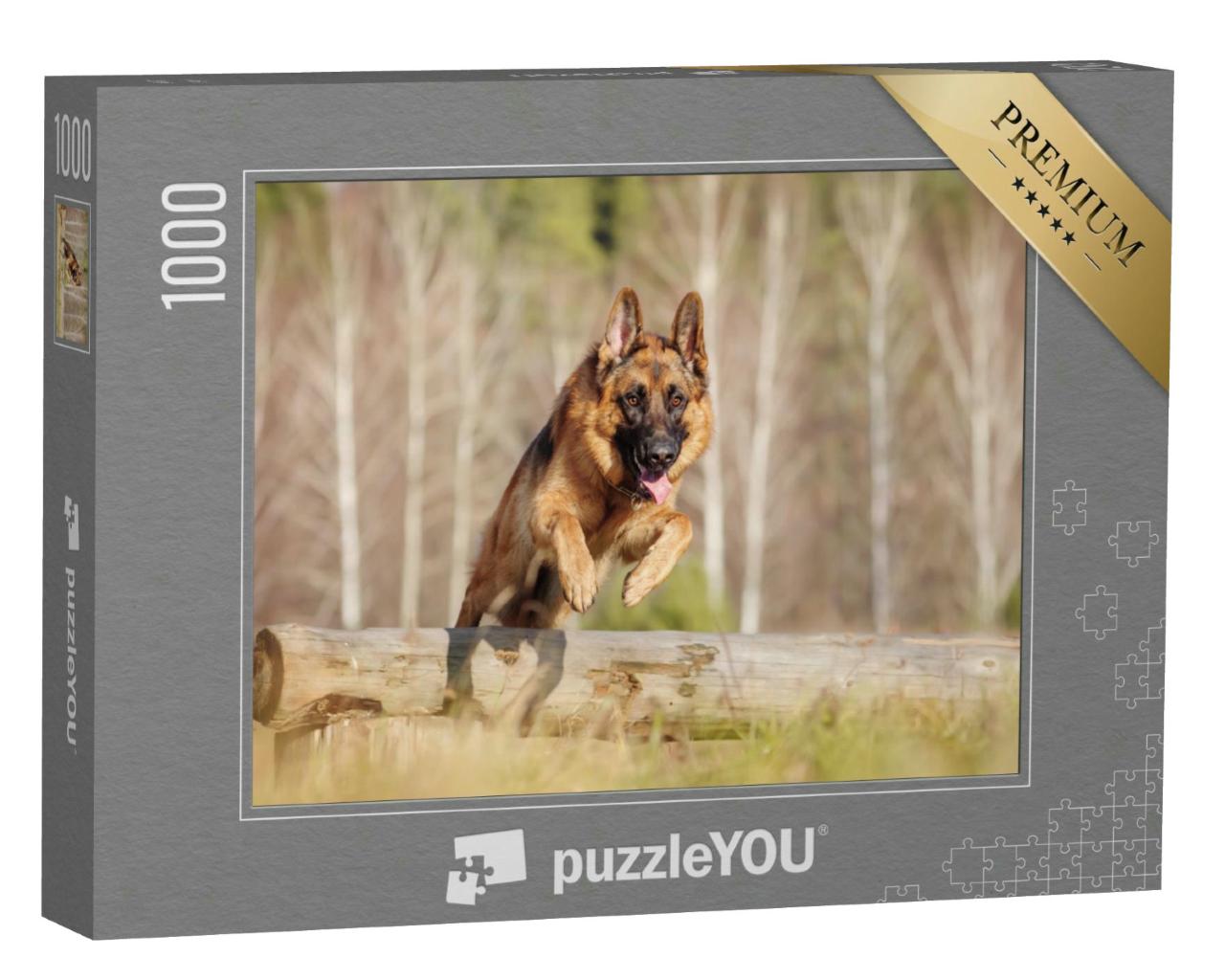 Puzzle 1000 Teile „Deutscher Schäferhund springt über einen Baumstamm“