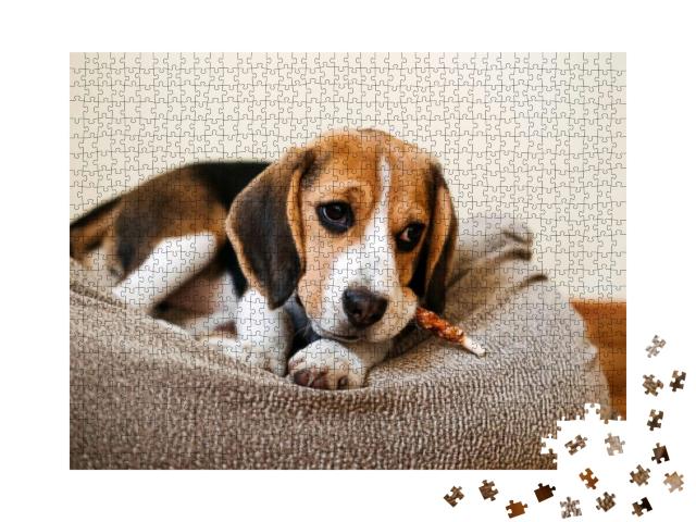 Puzzle 1000 Teile „Ein Beagle mit einem Leckerli“