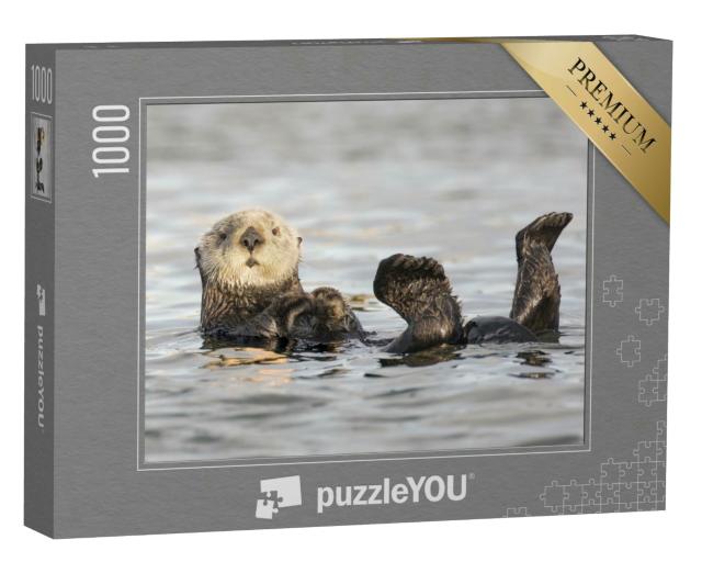 Puzzle 1000 Teile „Weißgesichtiger kalifornischer Seeotter“