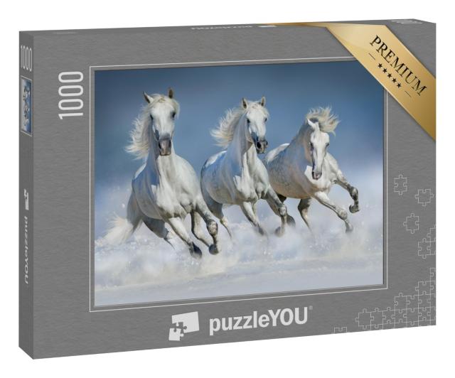 Puzzle 1000 Teile „Gruppe von arabischen Pferden läuft im Galopp durch den Schnee“