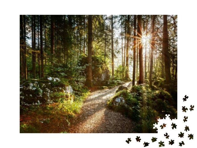 Puzzle 1000 Teile „Landschaft und Weg durch den Wald in der Morgensonne“