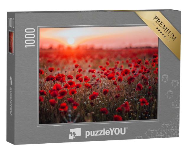 Puzzle 1000 Teile „Mohnblumenfeld im Sonnenuntergang“