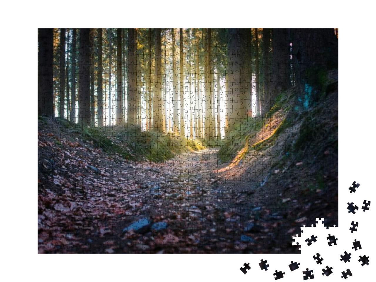 Puzzle 1000 Teile „Sonnenstrahlen im Wald, Rennsteig“