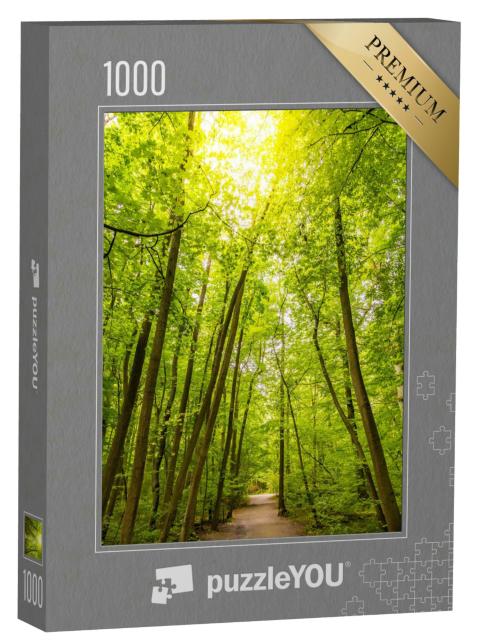 Puzzle 1000 Teile „Wanderweg in den Buchenwäldern des Nationalparks Hainich, Deutschland“