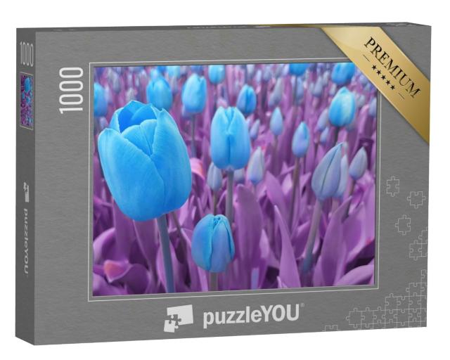 Puzzle 1000 Teile „Strahlend blaue Tulpen mit violetten Bättern“