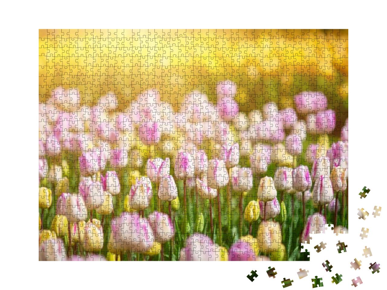 Puzzle 1000 Teile „Frühlingswiese mit violetten und gelben Tulpenblüten“