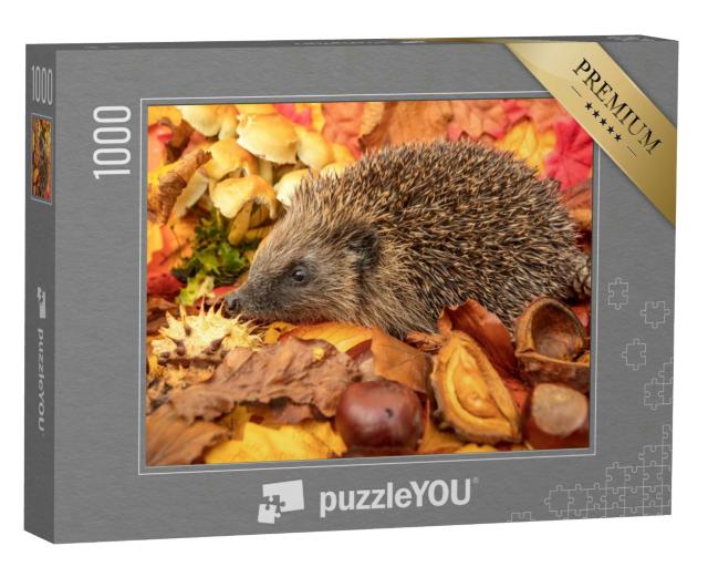 Puzzle 1000 Teile „Igel im Herbst mit Kastanien und buntem Herbstlaub“