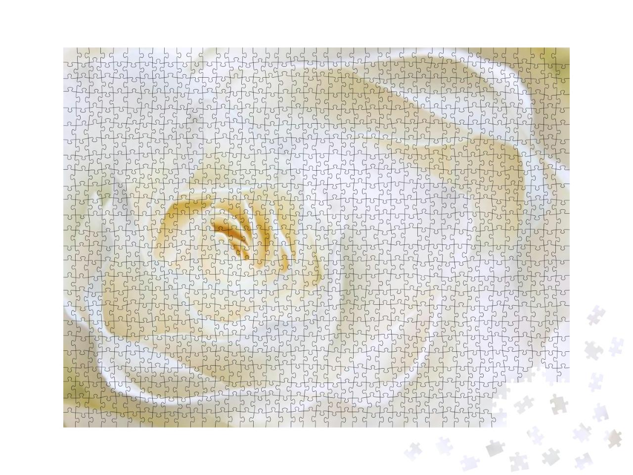 Puzzle 1000 Teile „Weiße Rose als Nahaufnahme“