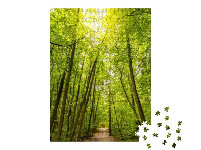 Puzzle 1000 Teile „Wanderweg in den Buchenwäldern des Nationalparks Hainich, Deutschland“