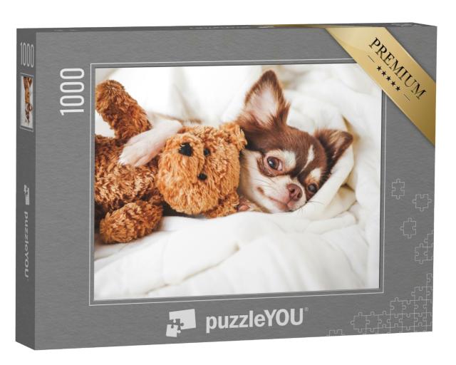 Puzzle 1000 Teile „Chihuahua-Welpe schlafend mit Teddybär“