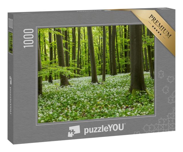 Puzzle 1000 Teile „Wunderschöne Bärlauchblüte im Nationalpark Hainich, Thüringen“