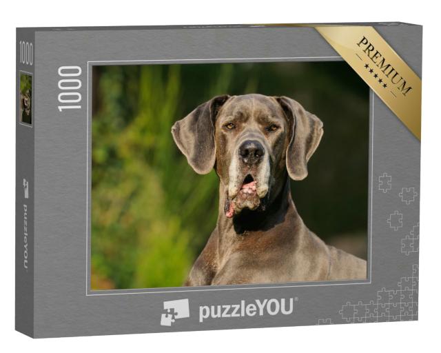 Puzzle 1000 Teile „Deutsche Dogge  “