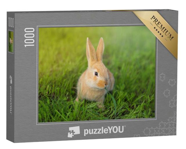 Puzzle 1000 Teile „Niedliches Kaninchen kauend im grünen Gras“