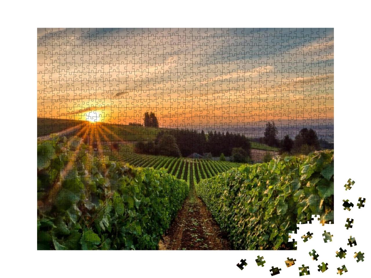 Puzzle 1000 Teile „Sonnenaufgang über einem Weinberg im Willamette Valley“