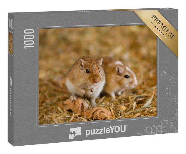 Puzzle 1000 Teile „Zwei Mongolische Rennmäuse“