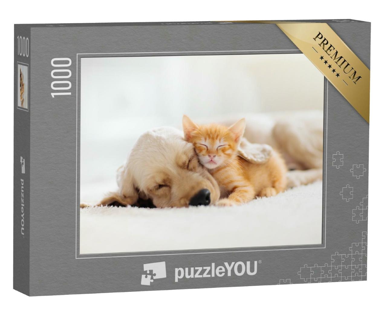 Puzzle 1000 Teile „Kätzchen und Hundewelpe beim Mittagschlaf“